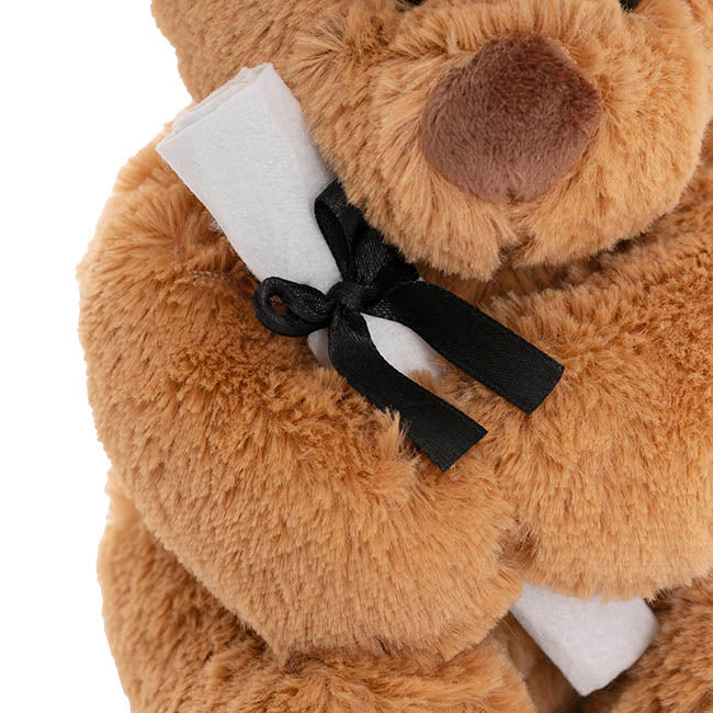 Graduation Teddy Bear Harvey Plush Soft Toy Brown with Hat & Scroll (20cmST)